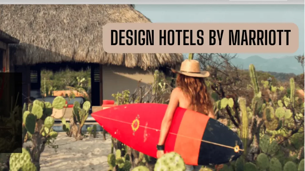 Design Hotels by Marriott - Pet Friendly marriott hotels