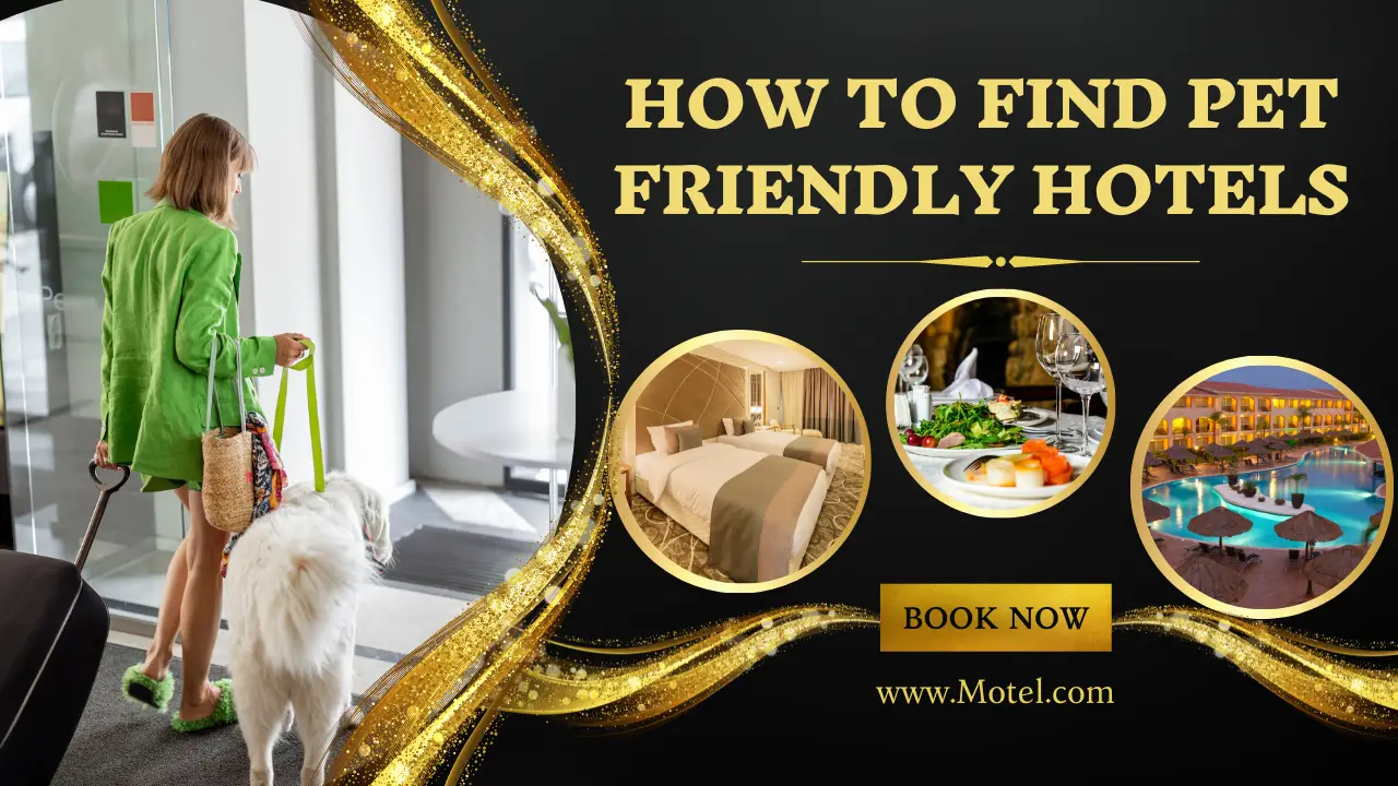 How To Find Pet Friendly Hotels