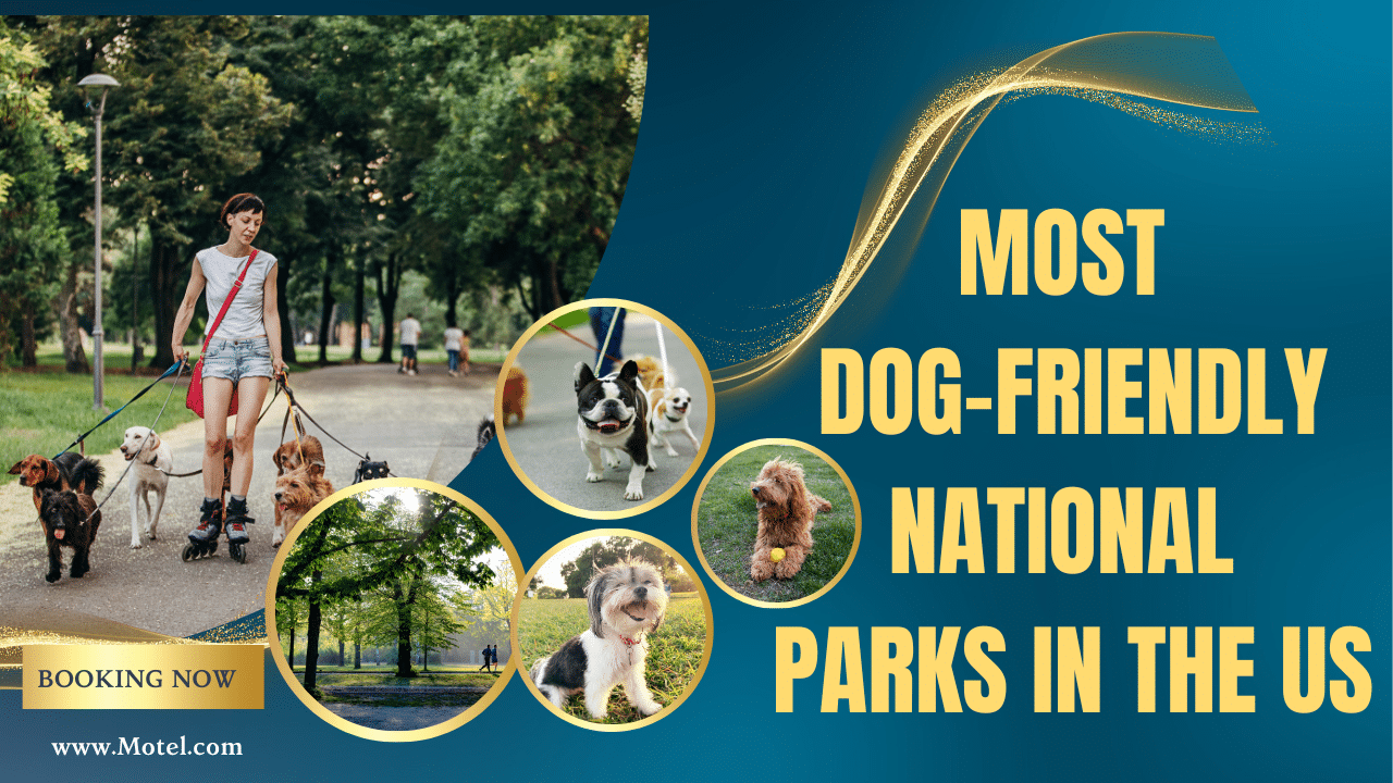 infographic image defining Most Dog-friendly national parks in the US