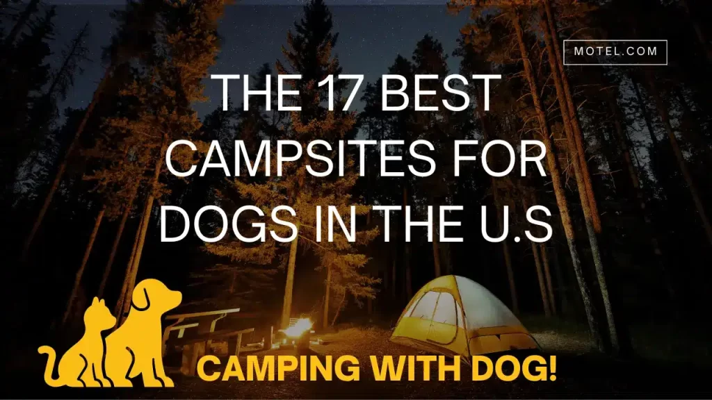 A featured image showing The 17 Best Campsites for dogs in the U.S