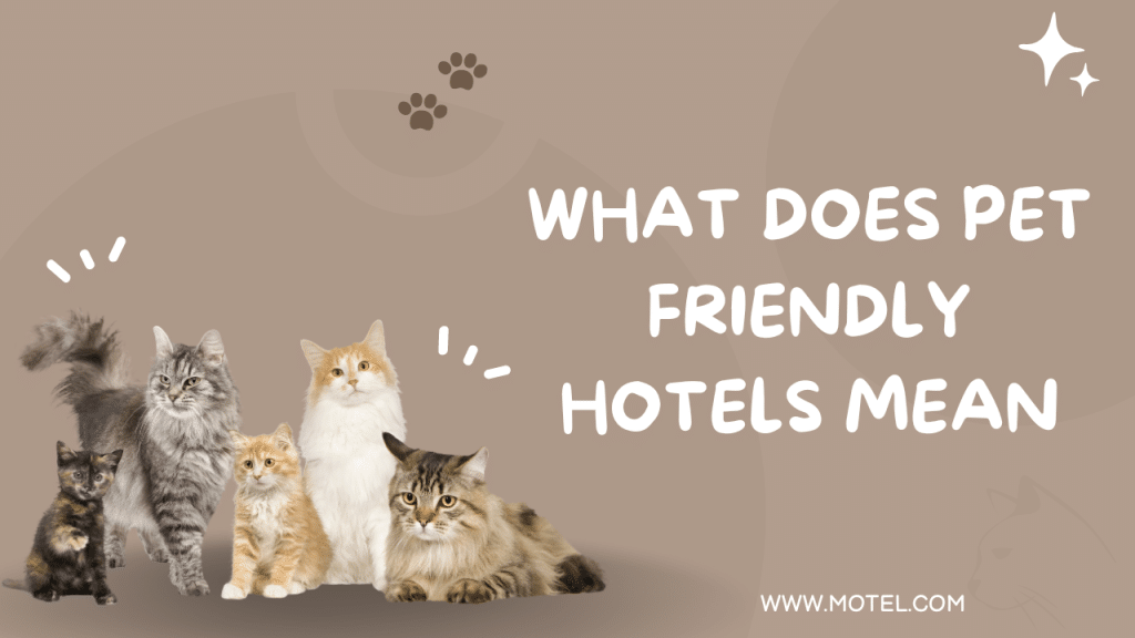 What Does Pet Friendly Hotels Mean