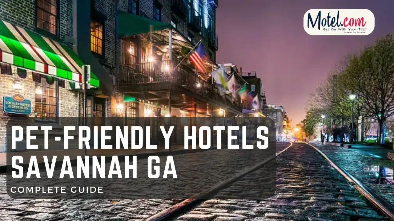 A banner displaying the text 'Top 10 Best Pet-Friendly Hotels Savannah Ga' against a backdrop of a beautiful Savannah landscape. The text is written in bold, vibrant colors and is centered in the image