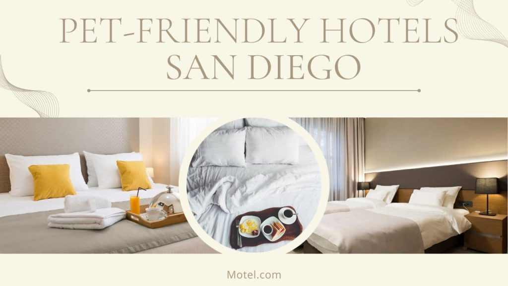 Top 10 Pet-Friendly Hotels San Diego