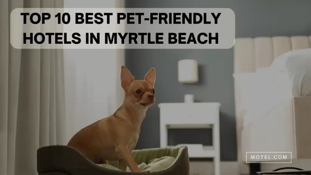 Top 10 Best Pet-Friendly Hotels In Myrtle Beach
