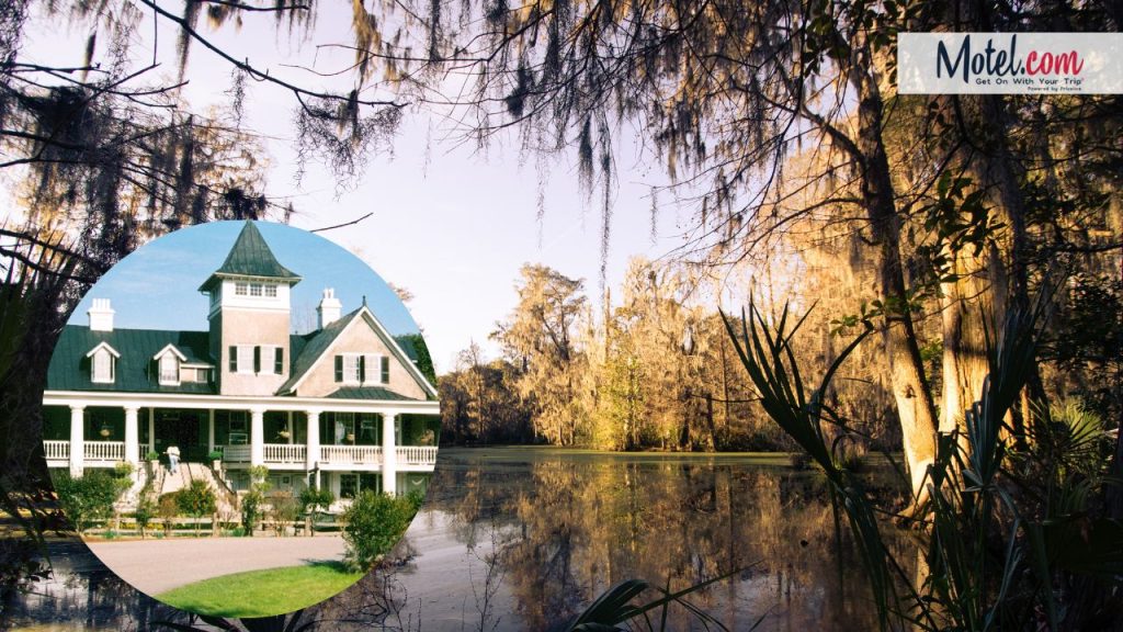 Asthetic view of Magnolia Plantation and Gardens