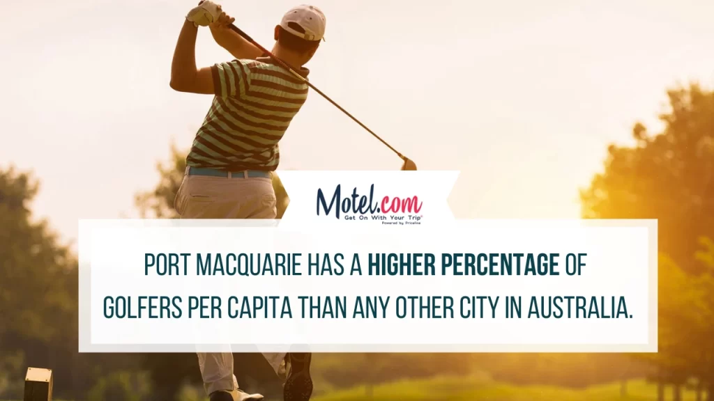 Fcat about Golfing in Port Macquarie