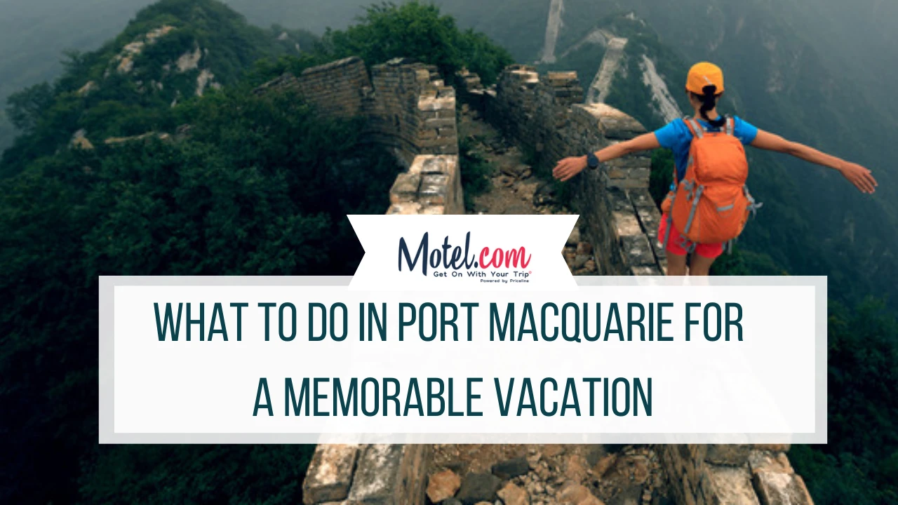 What to Do in Port Macquarie for a Memorable Vacation