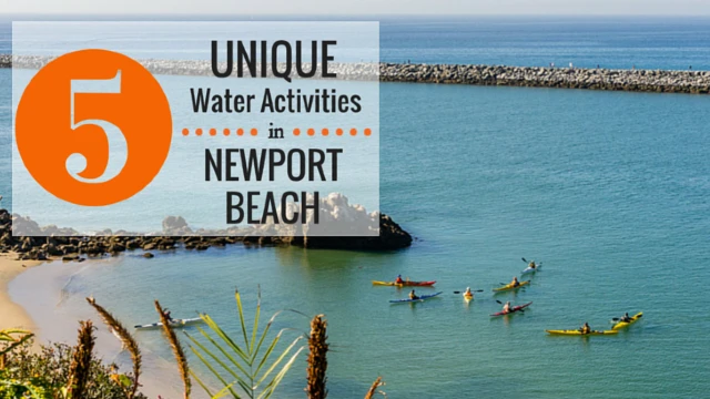Participate in Newport Beach Activities