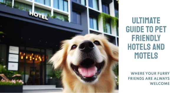 PET FRIENDLY HOTELS AND MOTELS