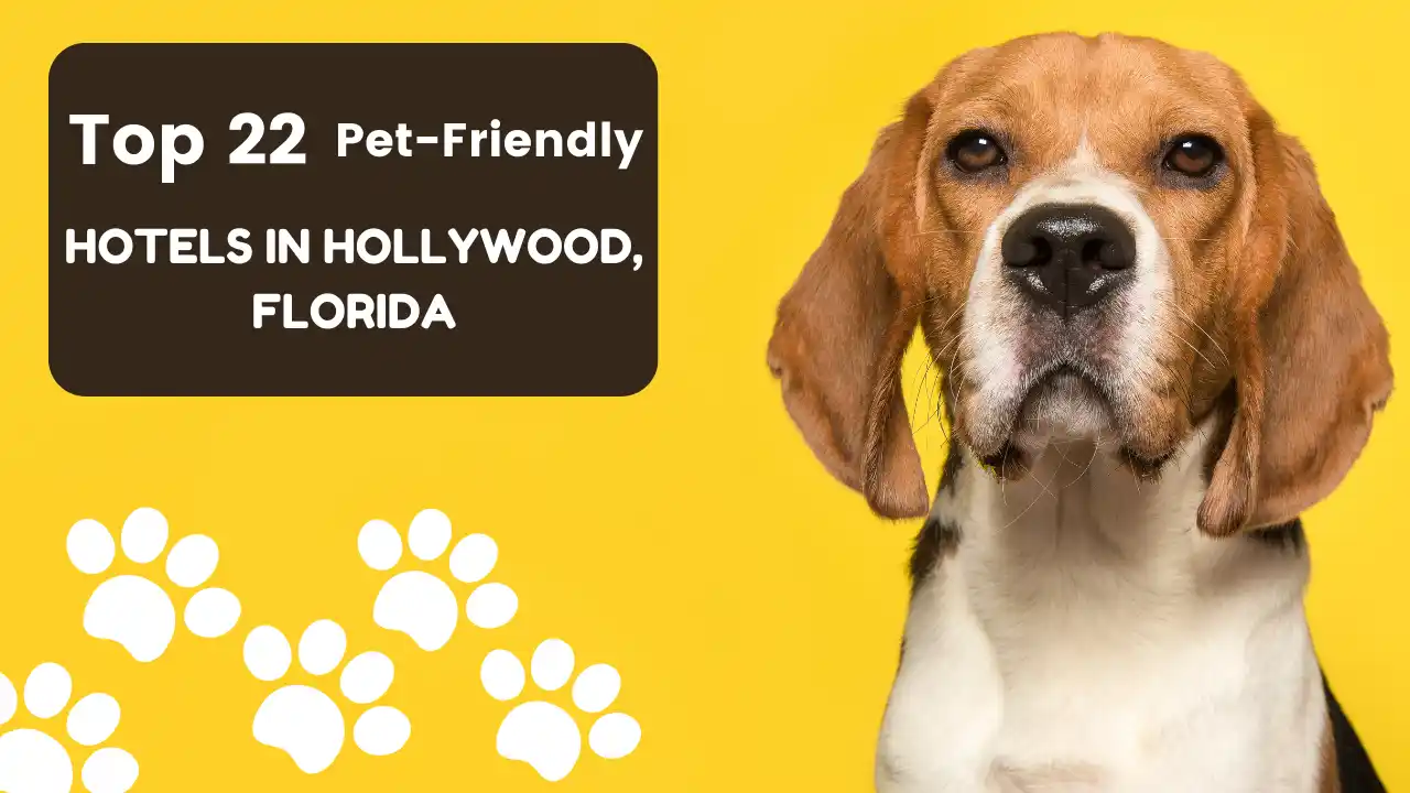 Top 22 Florida Pet-Friendly Hotels in Hollywood,